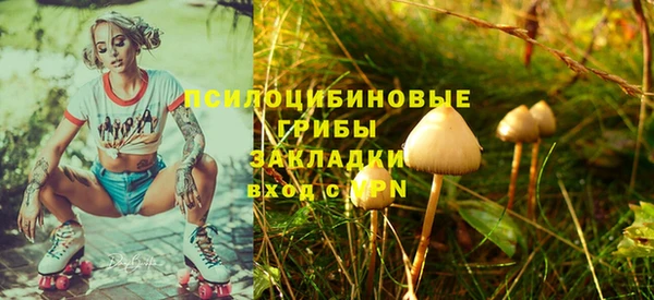 спиды Алексеевка
