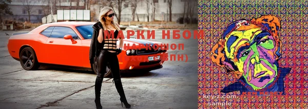 СК Алзамай