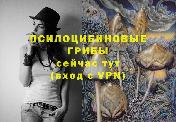 спиды Алексеевка