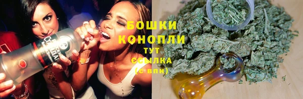 спиды Алексеевка