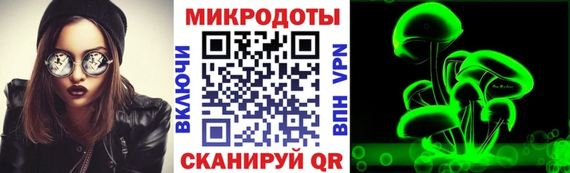 Псилоцибиновые грибы прущие грибы  Щёлкино 